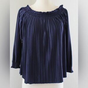 Banana Republic Navy Blue Pleated Blouse